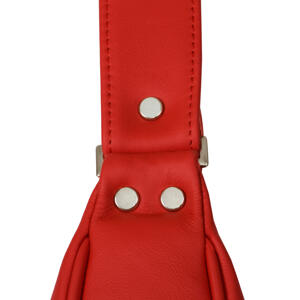Festive Red