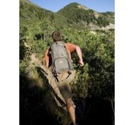 Medium nature pack - Grey