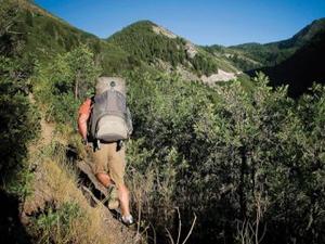 Hiker 65 + Clikstand grey